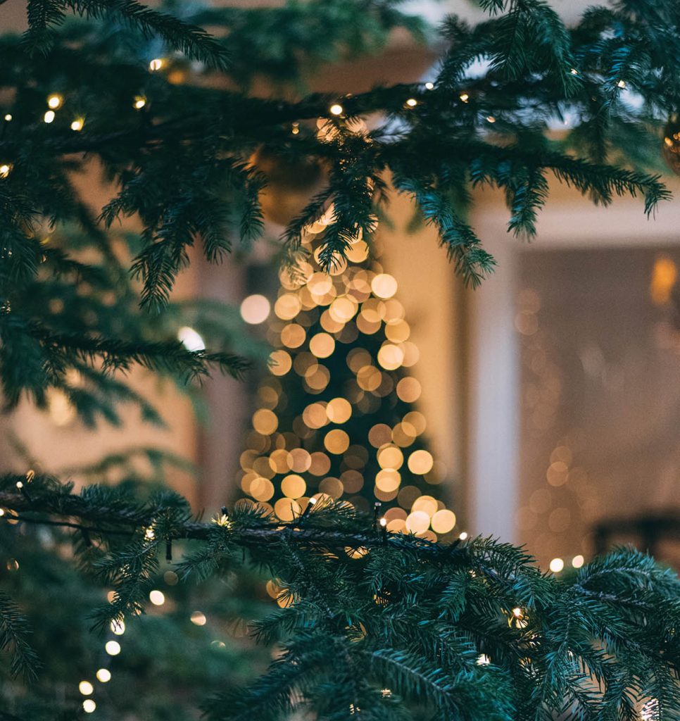sapin lumière de Noel 